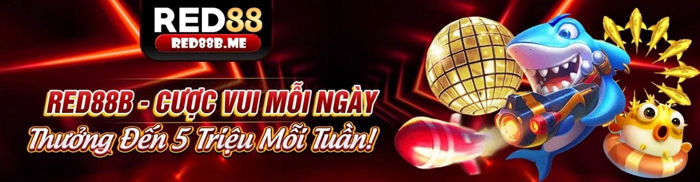 Hình ảnh chính blog rr888 win