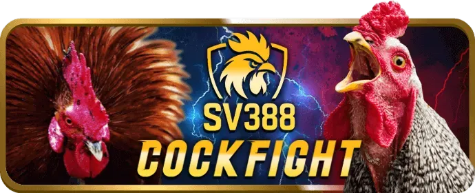 Tỷ lệ cược đá gà hấp dẫn tại RR888 Win